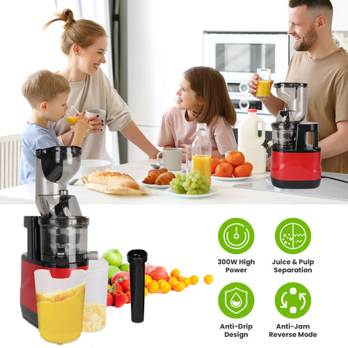 1Pc Cold Press Juicer Machine 300W Electric Slow Masticating Juicer For Whole Vegetable And Fruit With Reverse Function 2 Containers Cleaning Brush Clear Marks Easy Cleaning Fedex Shipping - Axiomtech